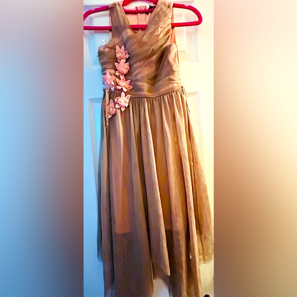 Pre❤️ Girls Dress (size 10)